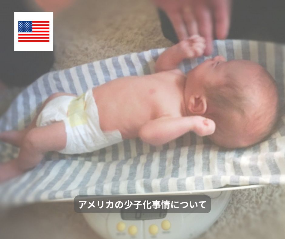 アメリカの少子化事情について

timessha.jp/politics-econo…