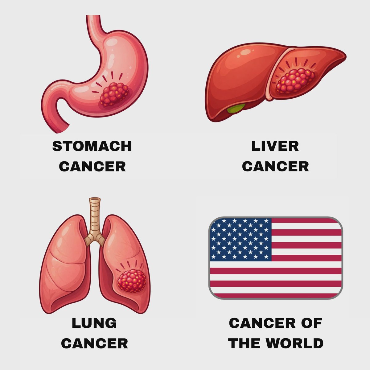 Jingjing_Li's tweet image. An illustrated guide to cancers.