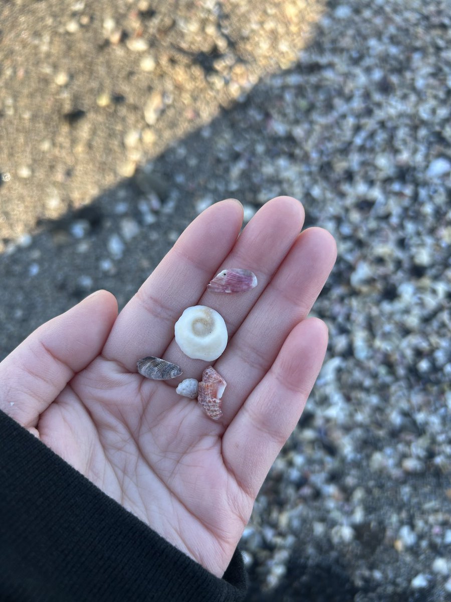 mahina (@mahina_uta) / Posts / X