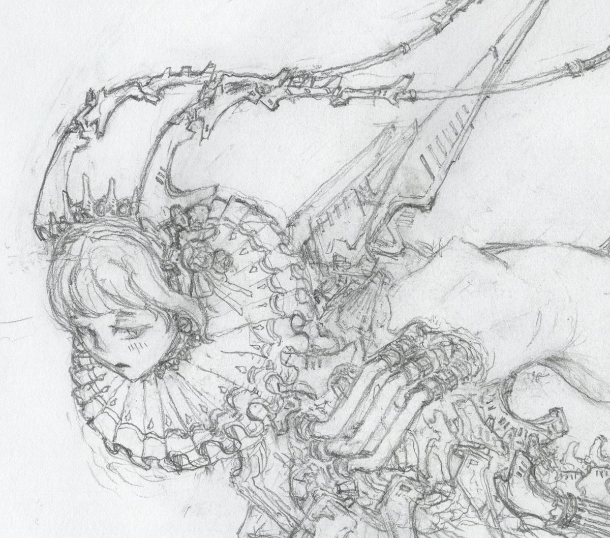 VoxBelicosa tweet media