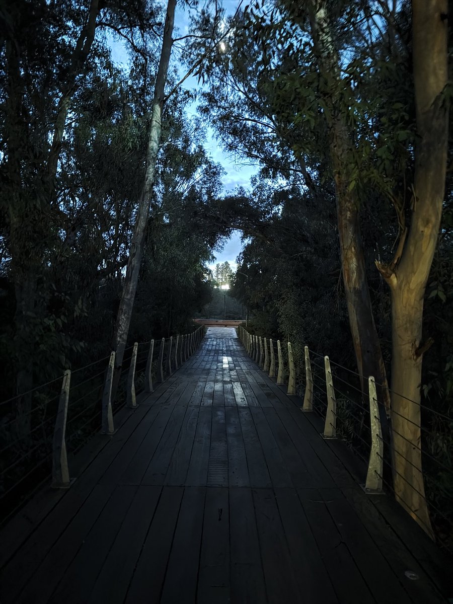 Ανάψετε τα φώτα να οργανωθούμε 🔦 
#running #ΛευκωσιαΜου #align