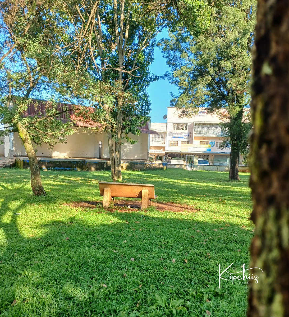 Kev_Kipchiiz's tweet photo. Good morning from this side of the world!
📍Kericho-Uhuru garden https://t.co/Po1EhWzcJN