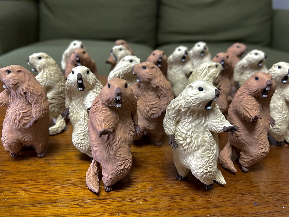 Insomnia3D WF 6-18-07 (@ST_Insomnia) / Posts / X