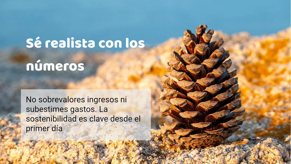 Se realista con los números
#Emprendimiento #FiscalidadEmprendedores #AsesoríaIntegral #StartupsEspaña #ImpulsaTuNegocio #emprendedores