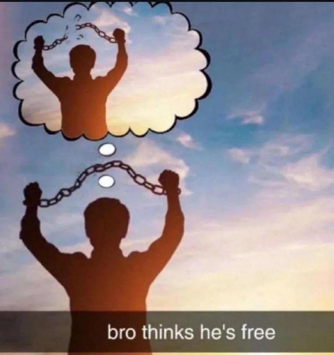 roundbuttocks's tweet image. this is how they be fr