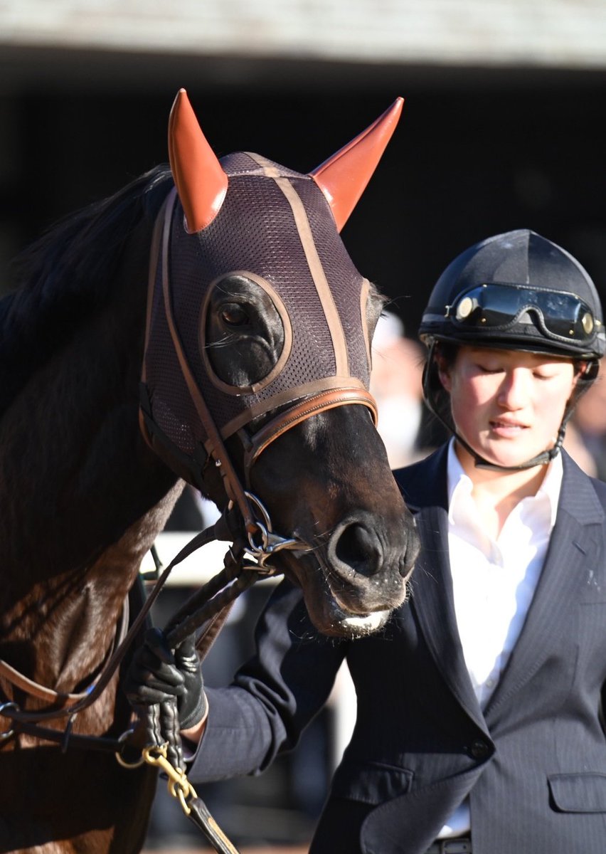 スペシャルウィークの血族を応援する会 (@specialweeklove) / Posts / X