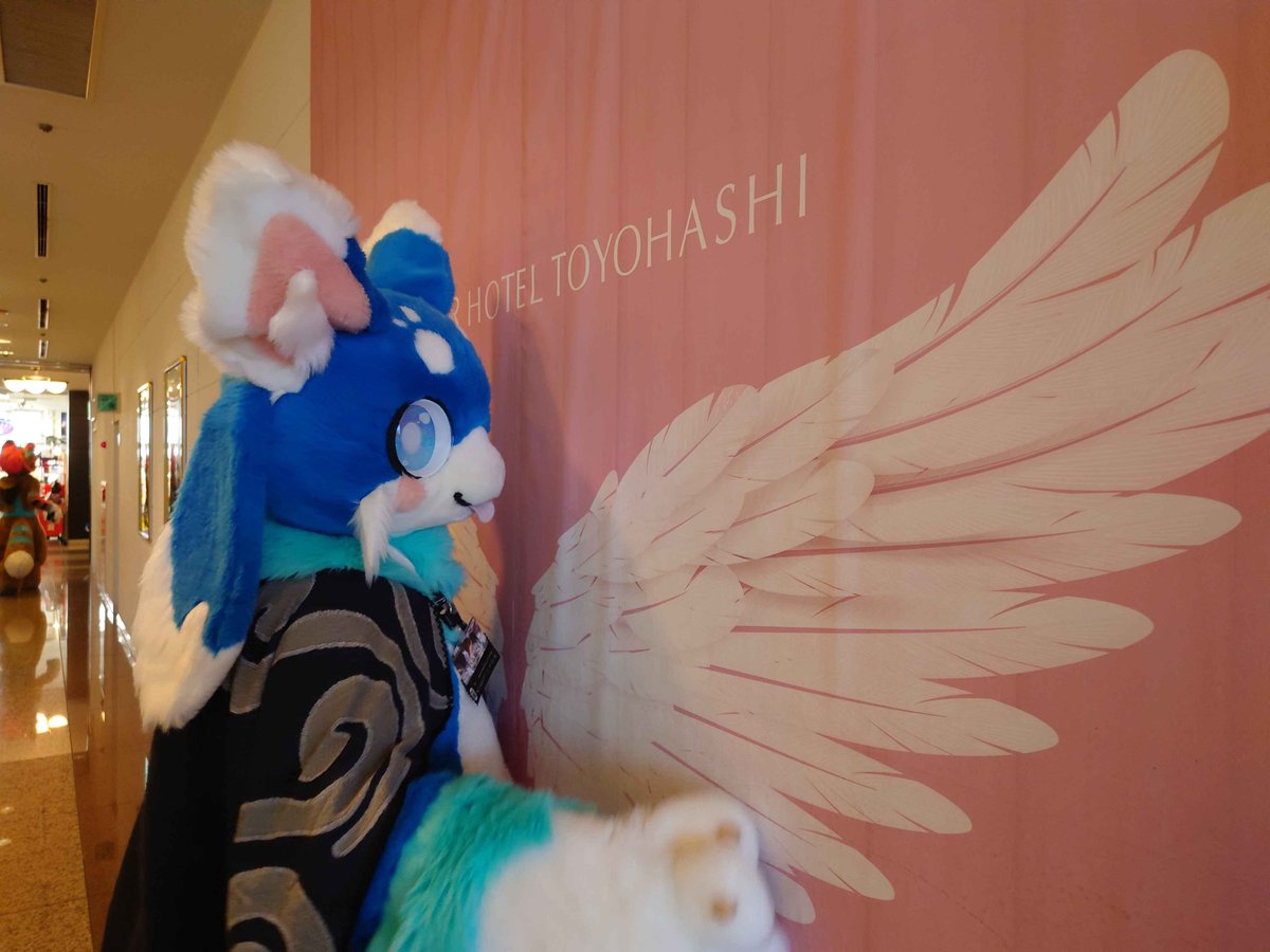 ハムねこ🍣 (@hamuneko1) / Posts / X