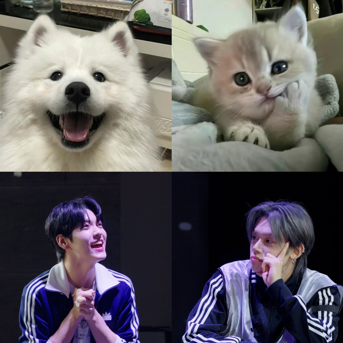 𝙠𝙞𝙞 (@justsbyj) on Twitter photo 