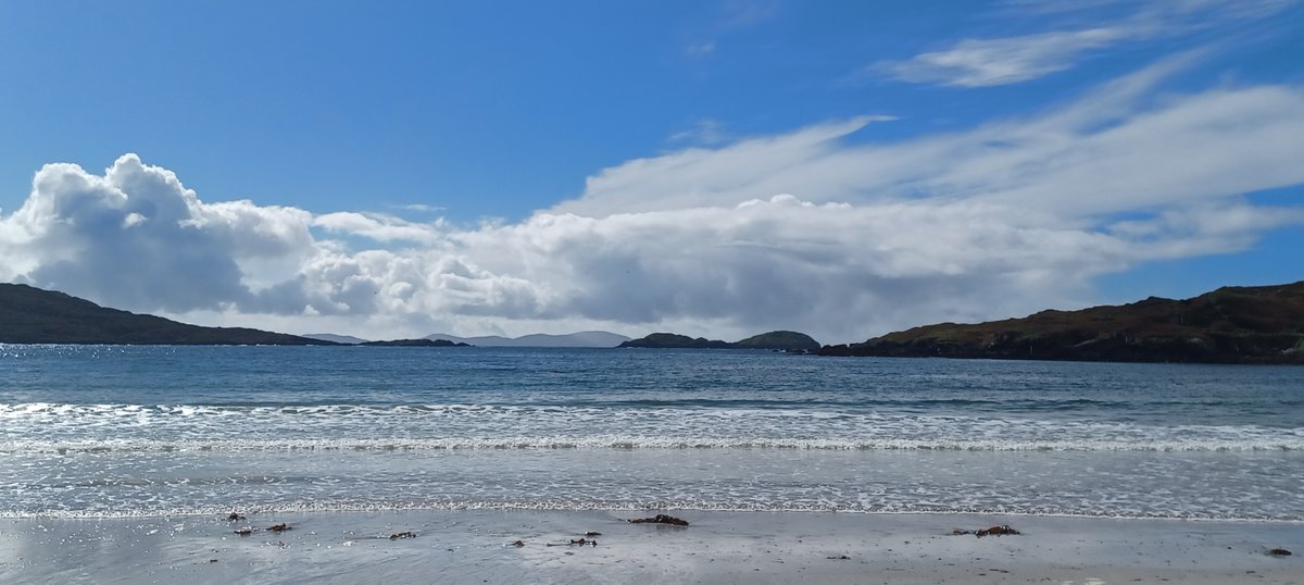 Kerry Social Farming tweet media