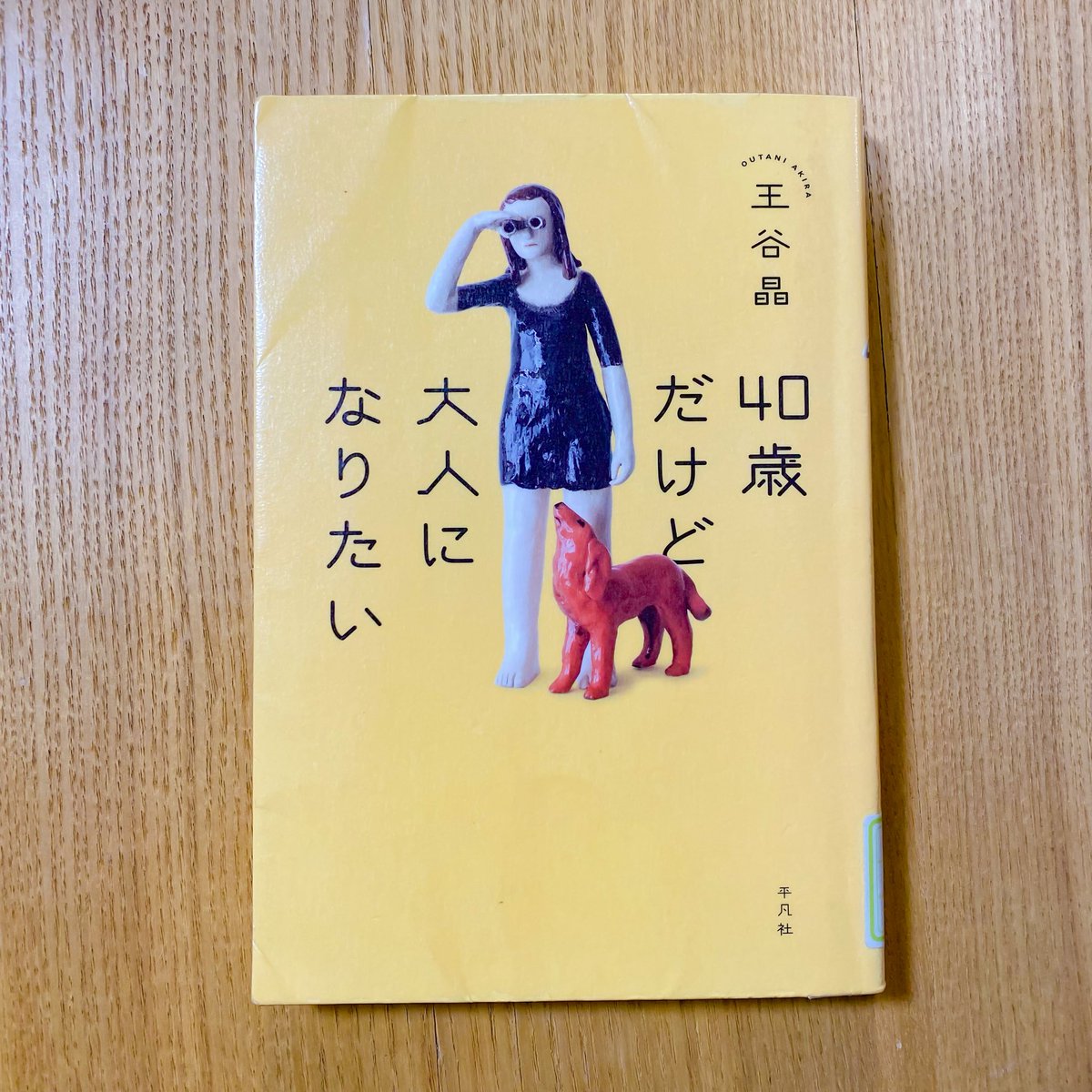 Post by 𝕗𝕚𝕫𝕫𝕓𝕦𝕫𝕫 on X: 今月の📕