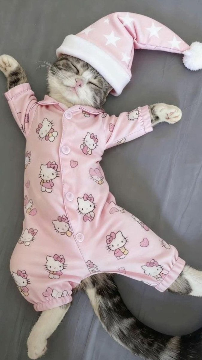 ⭐️ともです 雨続きで乗れなかったから撮らせてもらったバイク写真で😆 #z900rs