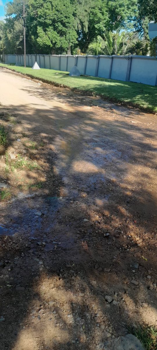 Alet van Rensburg tweet media