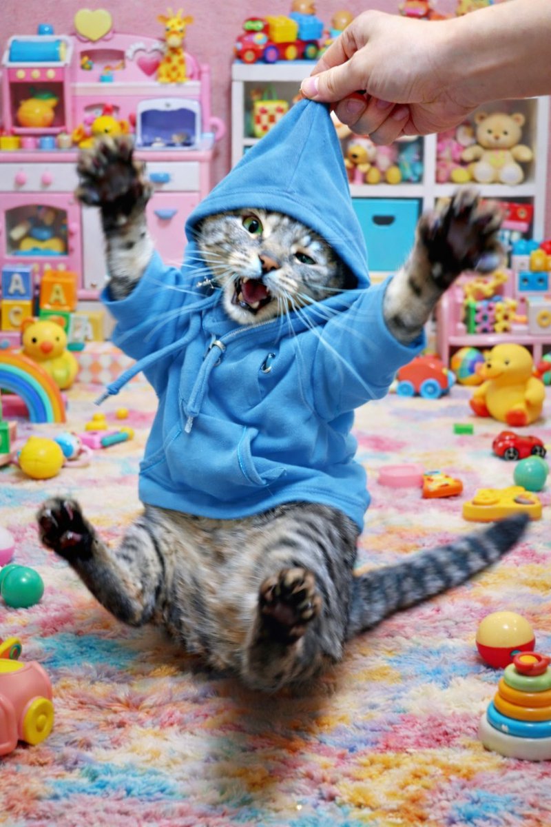 チャッピー（ChatGPT）先生に頼むと… コレがこうなって、さらにこう