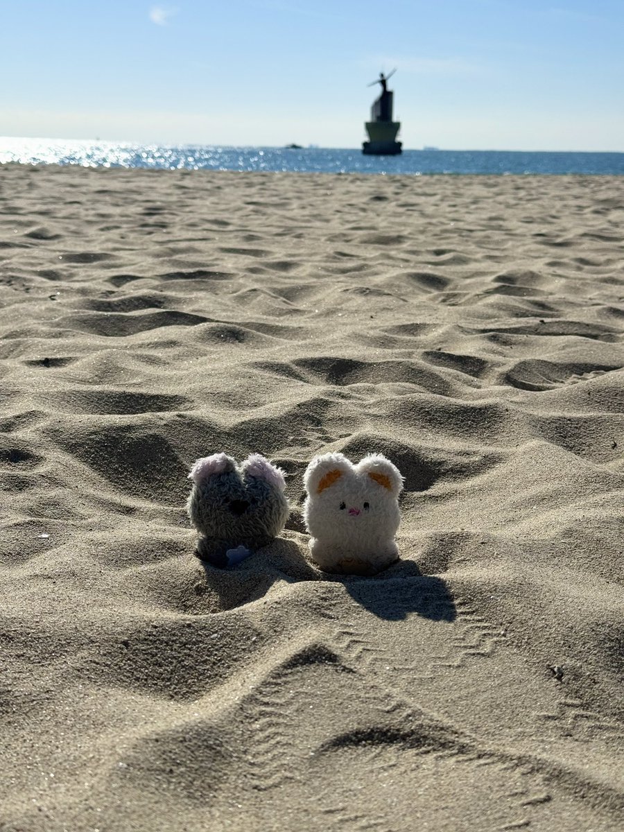 오래오레오 tweet media