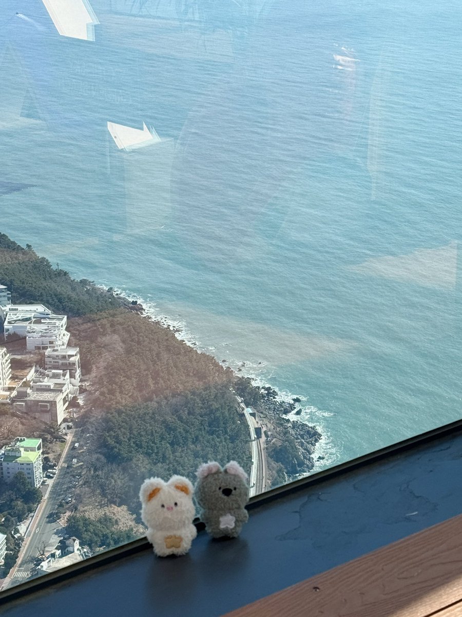 오래오레오 tweet media