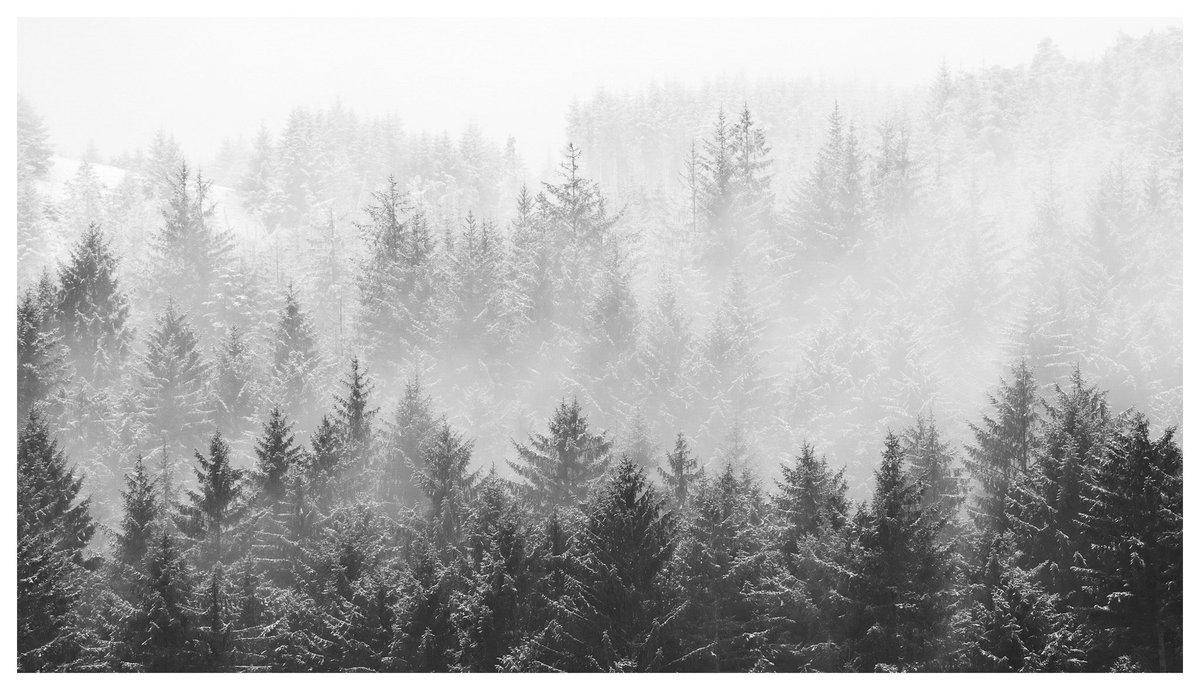 Deborah McPhail Photography tweet media