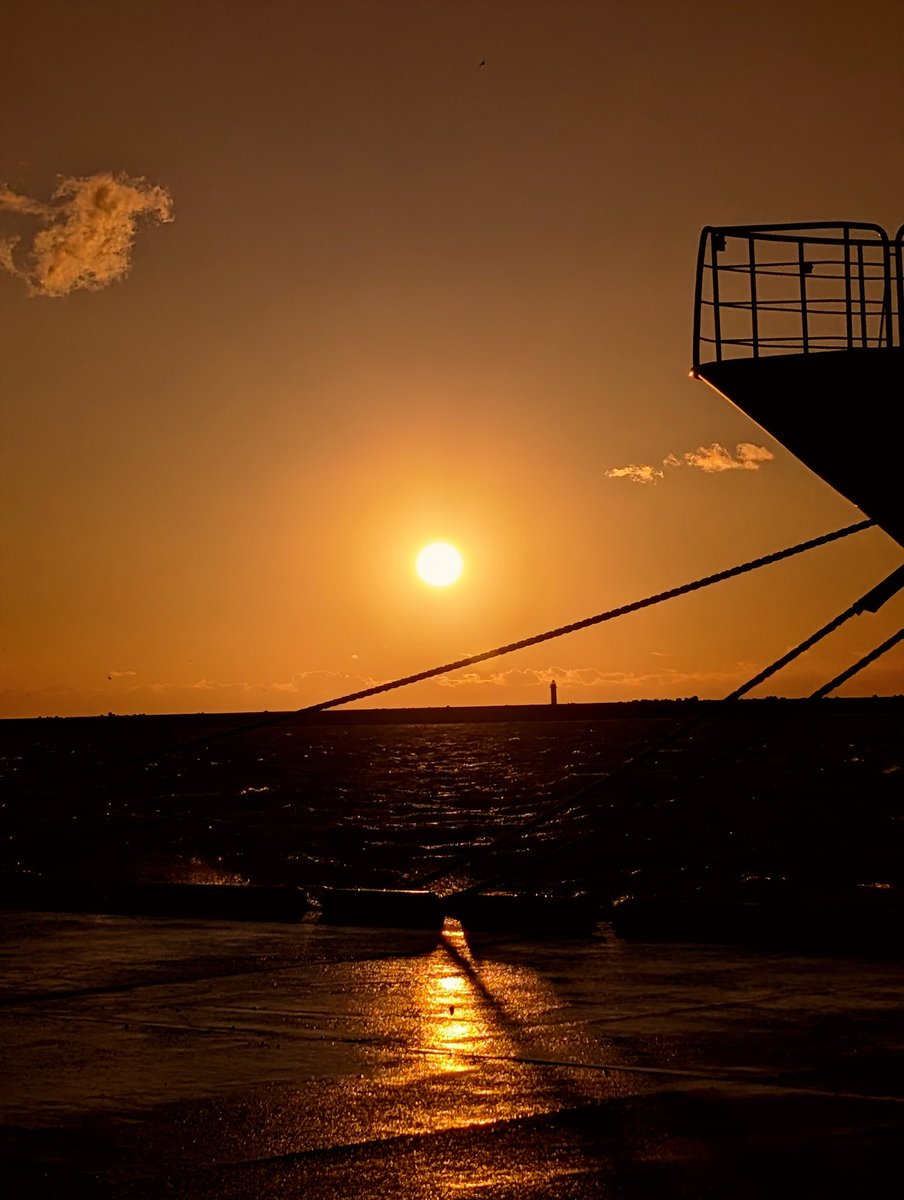 nick_trigger11's tweet image. お疲れ様です(*^^*)
寒いですね:;((•﹏•๑)));:
 #イマソラ
 #スマホ写真