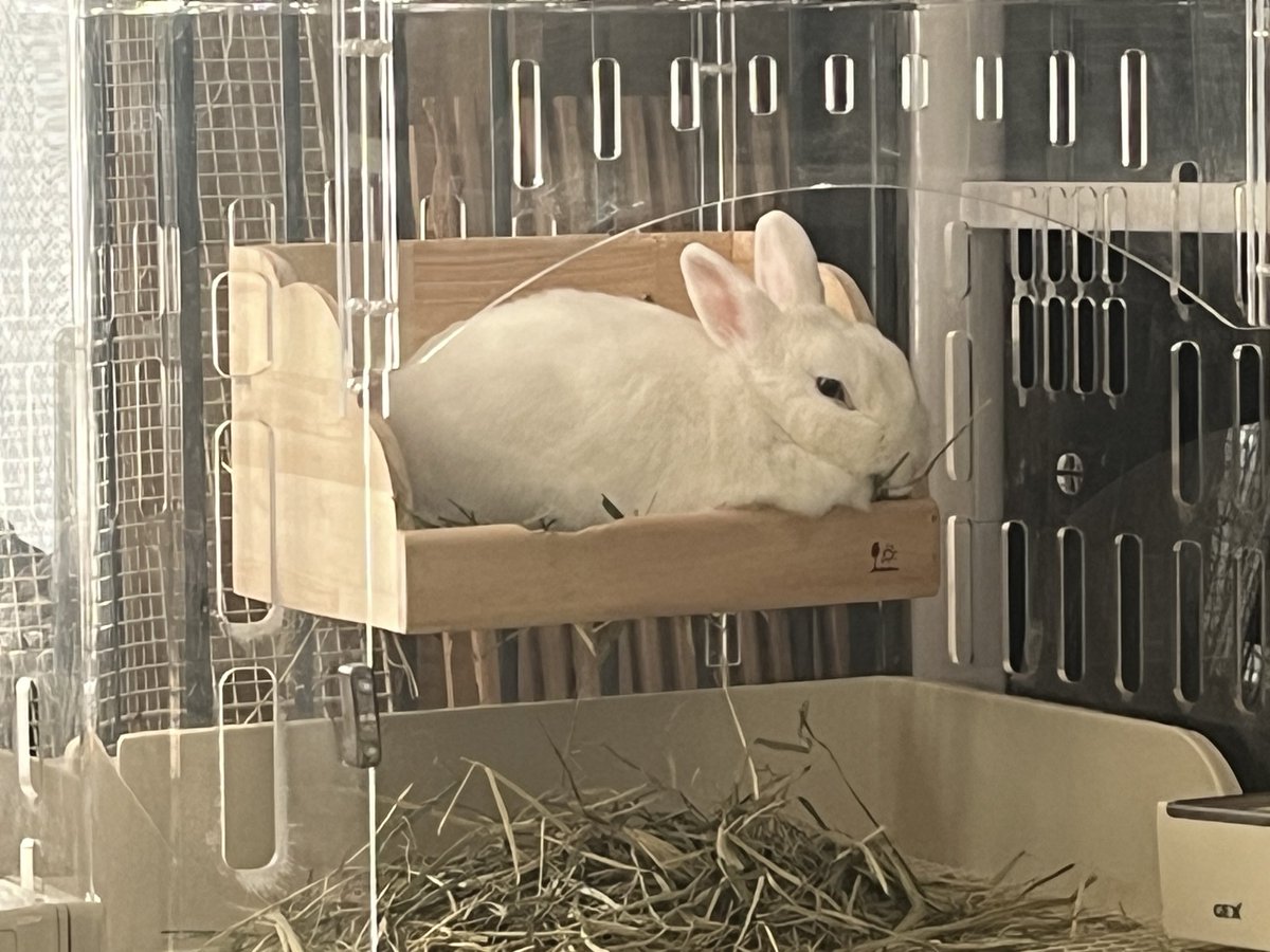 今日も宙に浮いている☁️