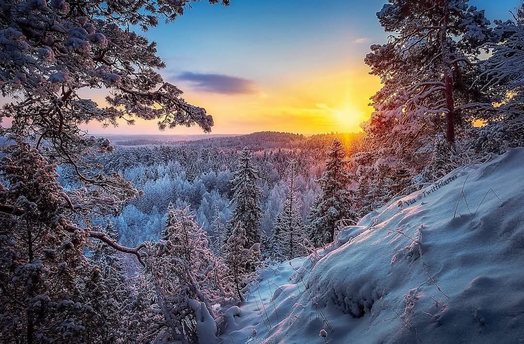 Esther Hernández (@estherhercar) on Twitter photo 