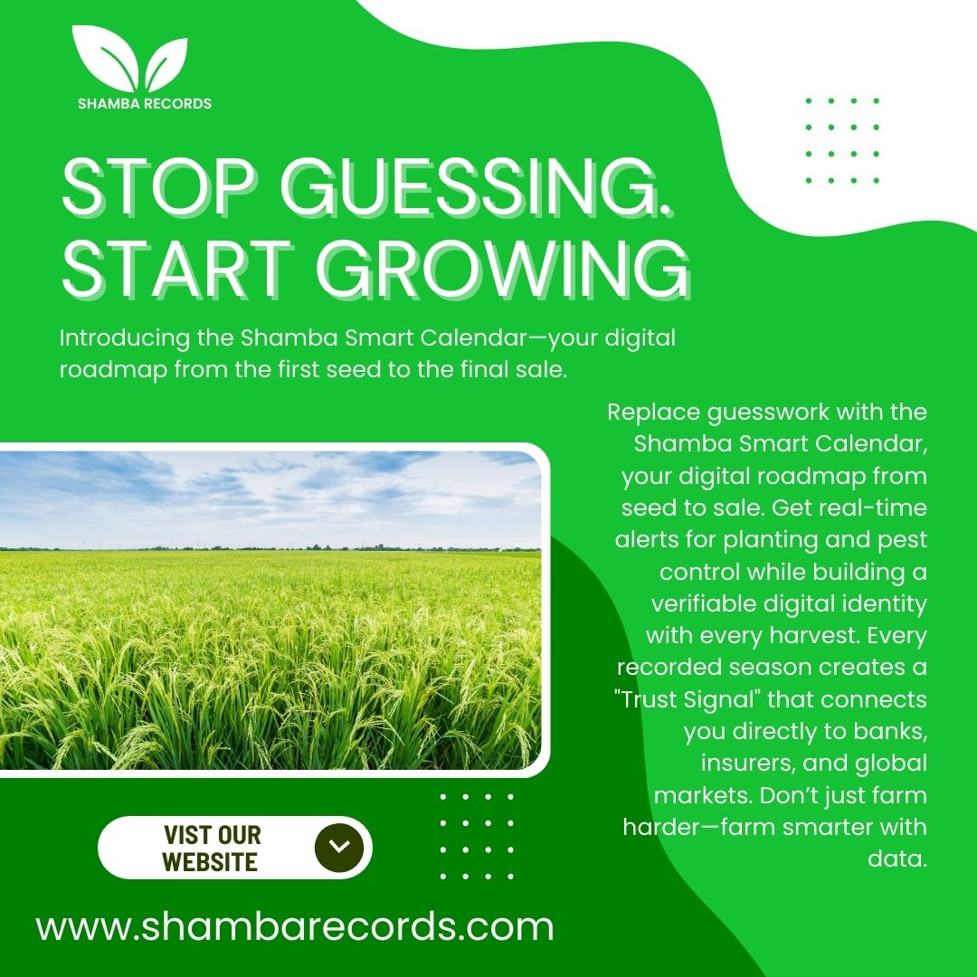 Shamba Records tweet media