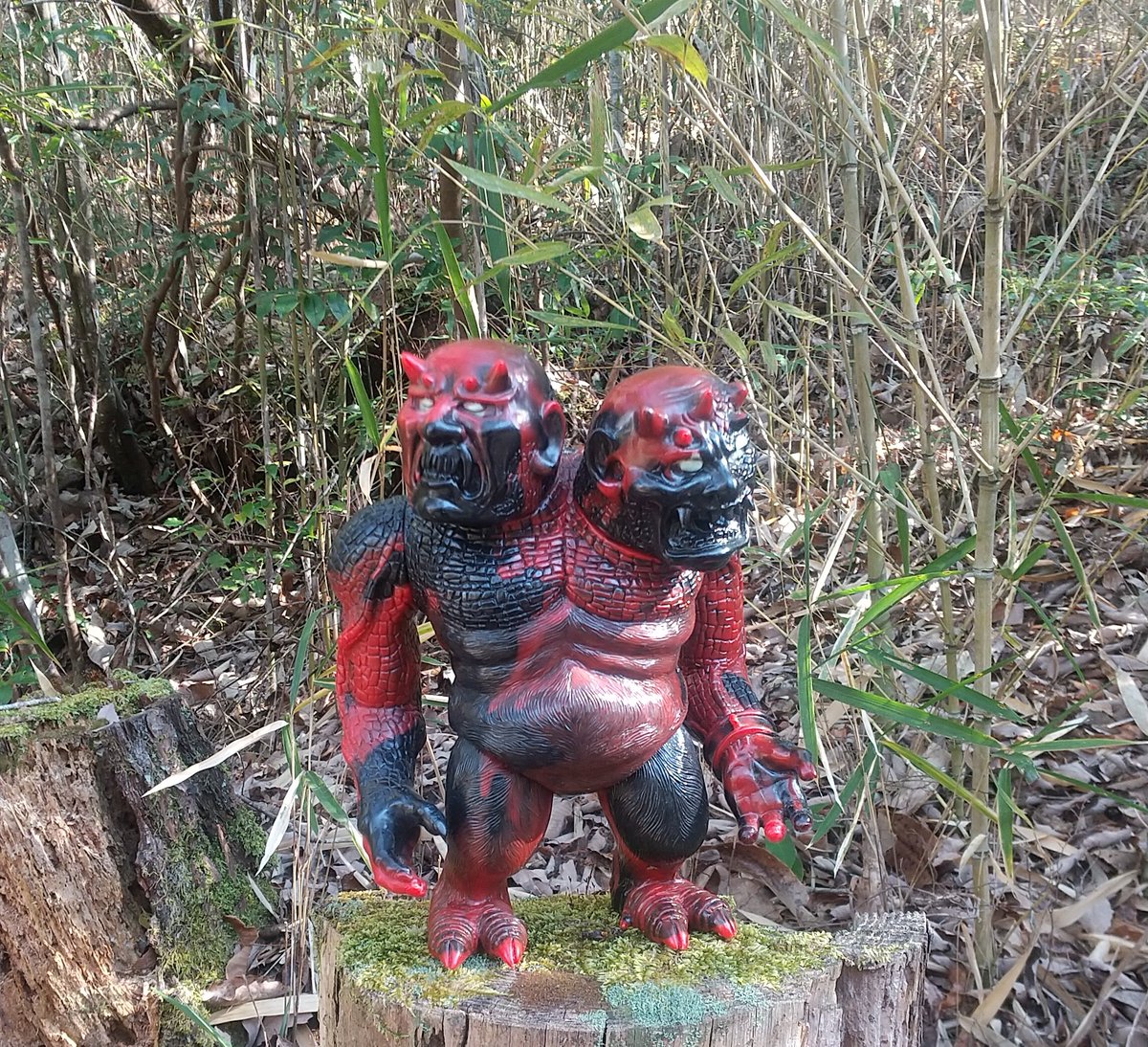 fotifotiwc's tweet photo. 公園を散策🚶‍♂️ https://t.co/j6rPUNH45j