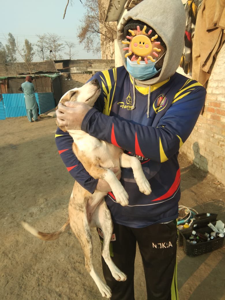laps_zeba's tweet photo. Cold & Freezing nowadays, and since we don’t have electricity it’s hard to keep them warm
Some of the older dogs are having issues with stiff joints
help us buy blankets and coal to keep them warm
https://t.co/skGEiH502X🙏
#freezing #dogsofX #needblankets ##animallovers https://t.co/5Fkup3Q9F7