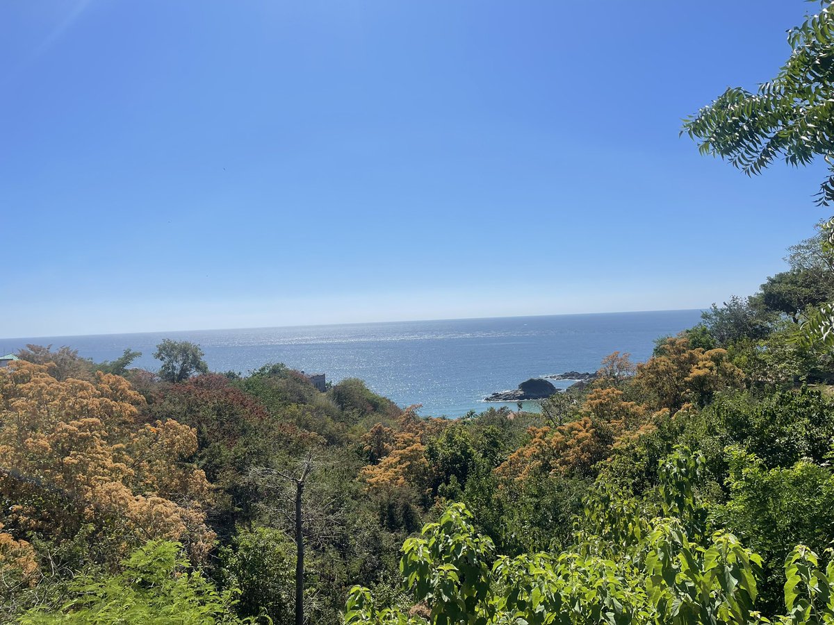 Zipolite Año Nuevo 2026!