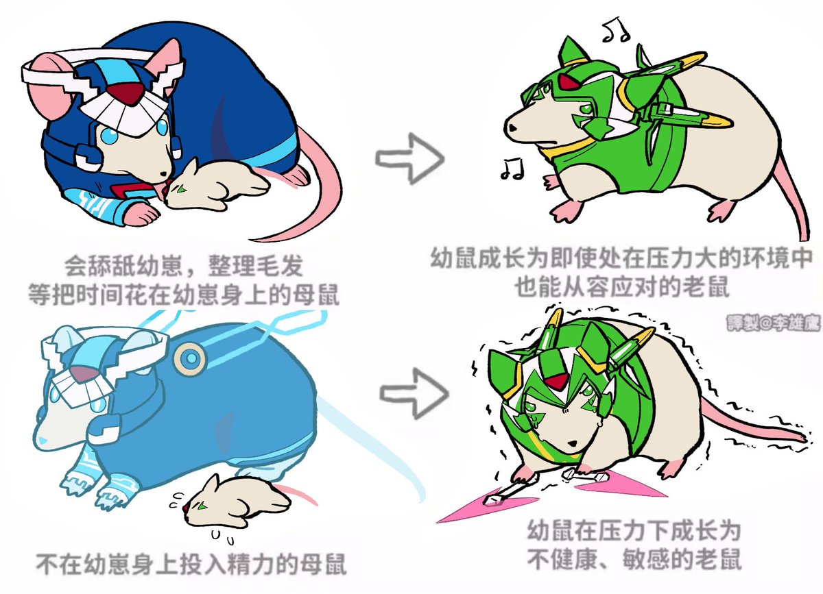 Mr_CairoX's tweet image. 