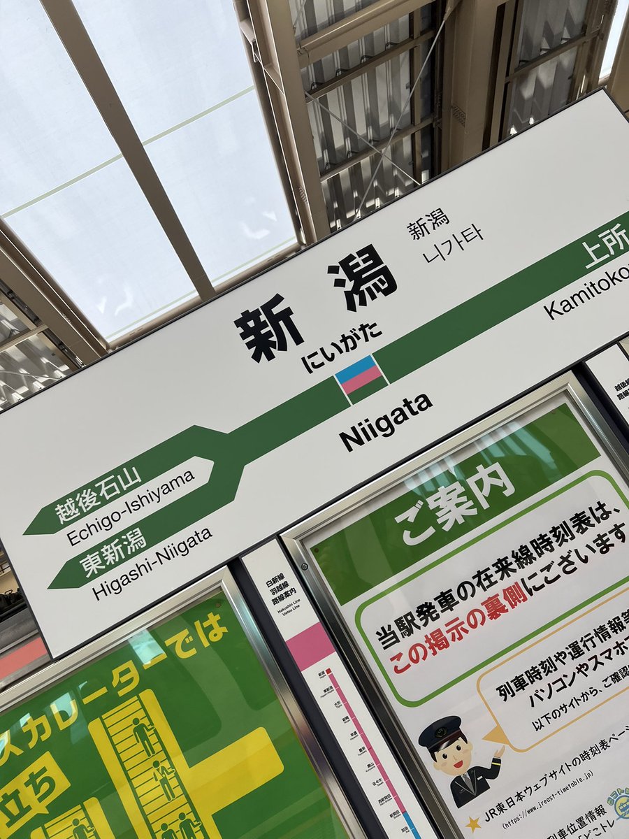 富山観光からの新潟県朱鷺メッセのハイスタ！
疲れて物販面倒くさくなったからなんかあったら買うか！