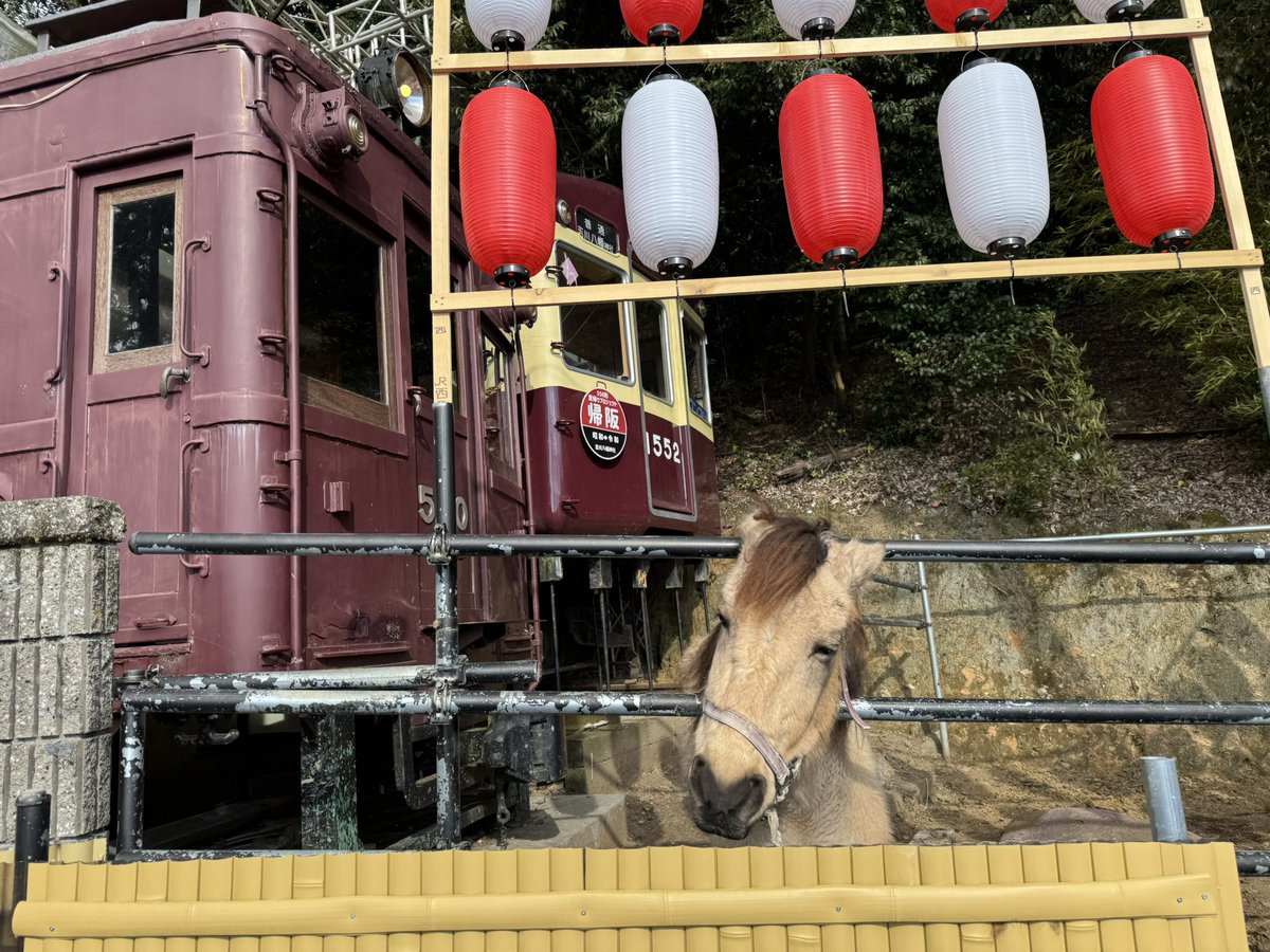 daesung59's tweet photo. #御朱印　#御朱印巡り
#午年　#神馬　#大阪　＃吉川八幡神社
＃電車　＃ミセスグリーンアップル
＃春と夏　#MrsGREENAPPLE https://t.co/dDwavehcHC
