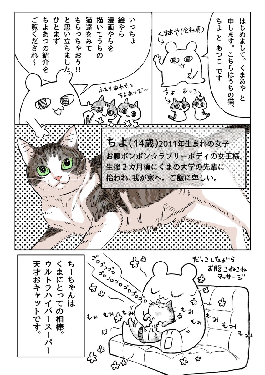 kuma_kuma_a0402's tweet photo. われわれの紹介漫画描いたよ　＃猫マンガ #漫画が読めるハッシュタグ  #エッセイ漫画 ＃猫 https://t.co/r9V0M6J0jC