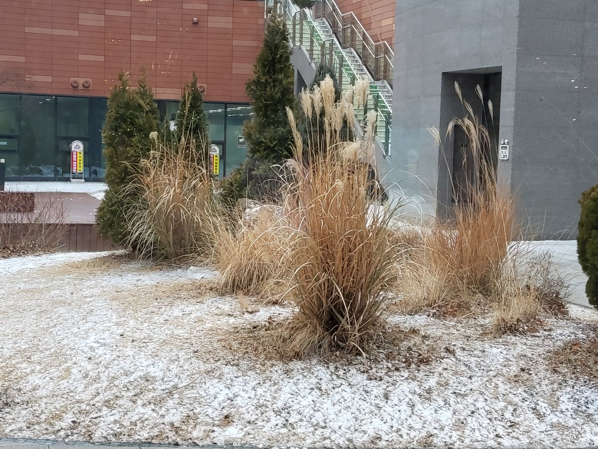 제프리스(Jefferies) Jefferies 법인의 안정성.viz