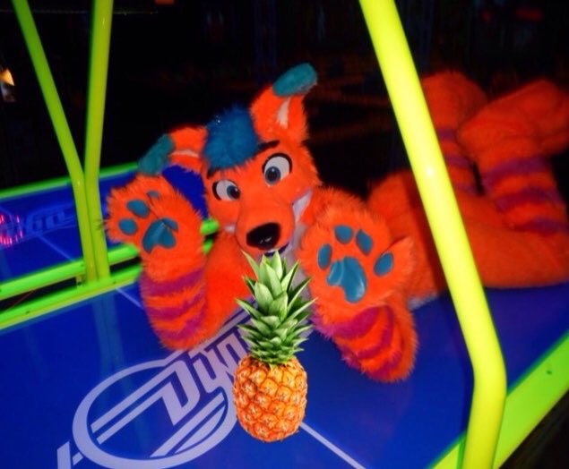 Avi Fox🍊🦊 tweet media