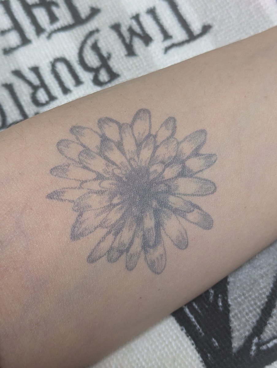 幽(悠(ゆう)/切撮屋・天椿 tweet media