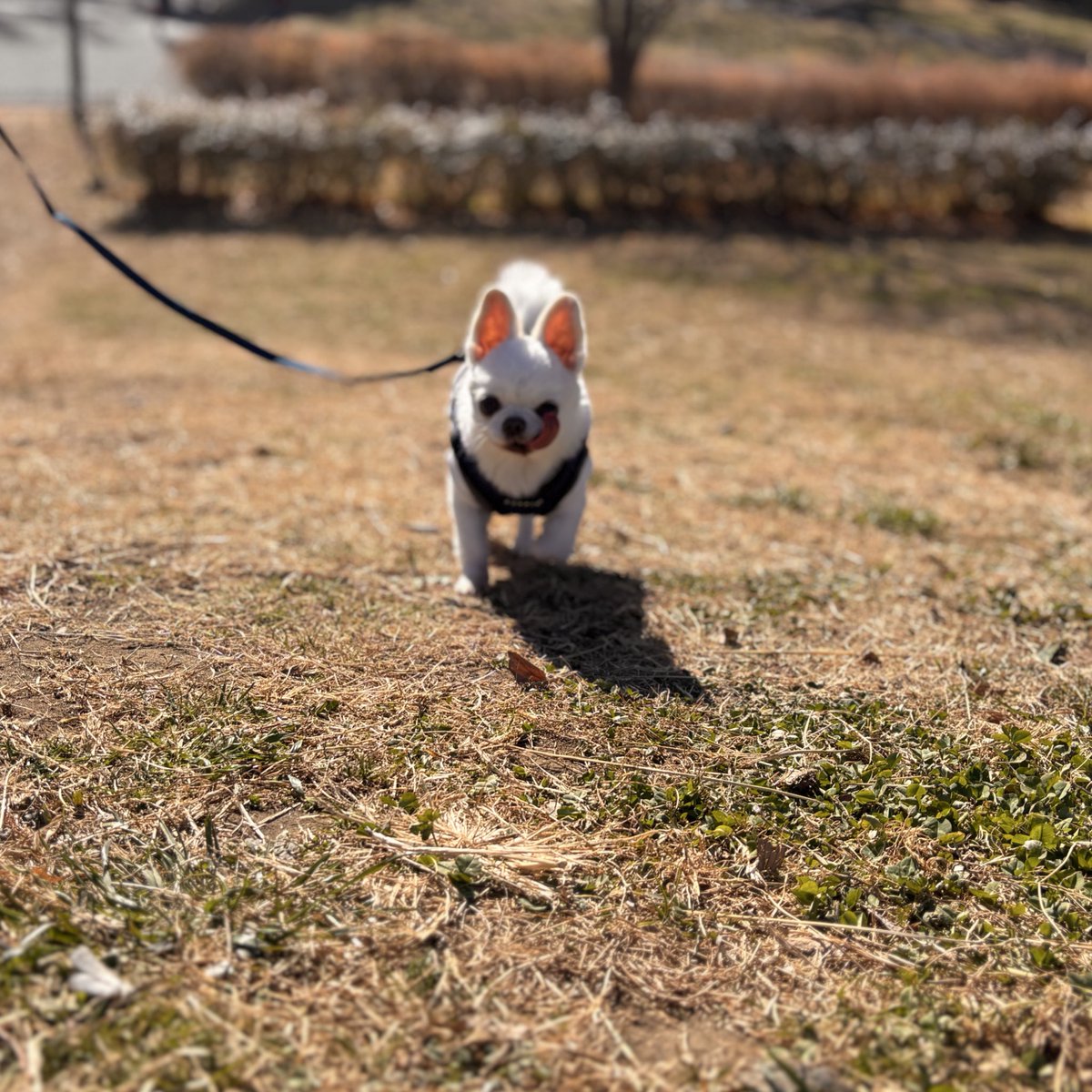 wb_190320's tweet image. 