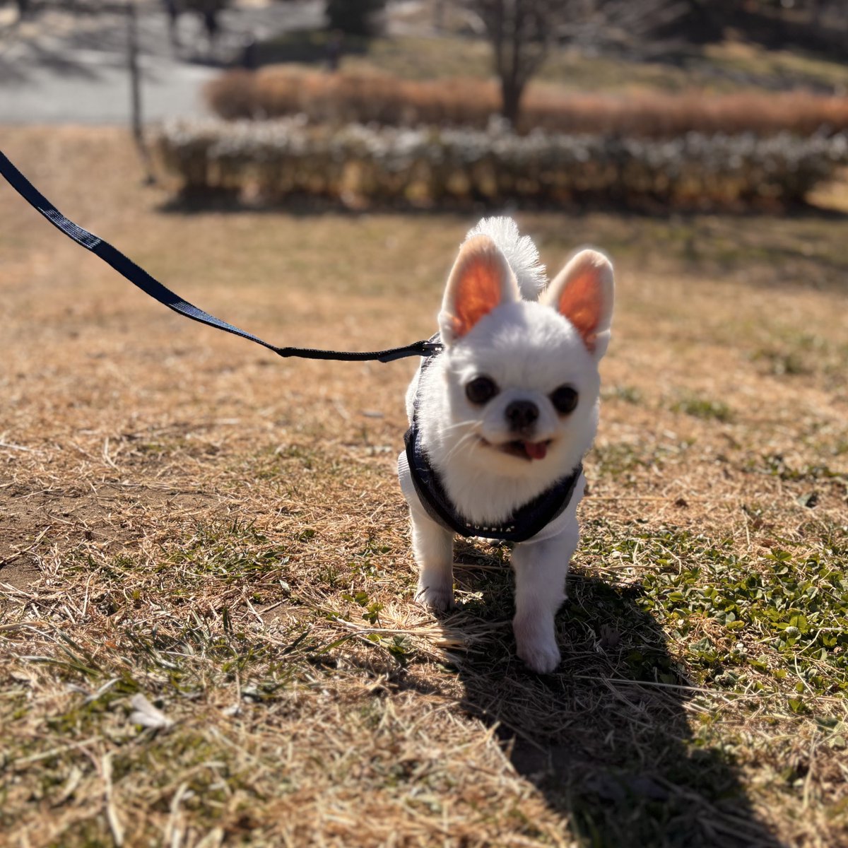 wb_190320's tweet image. 