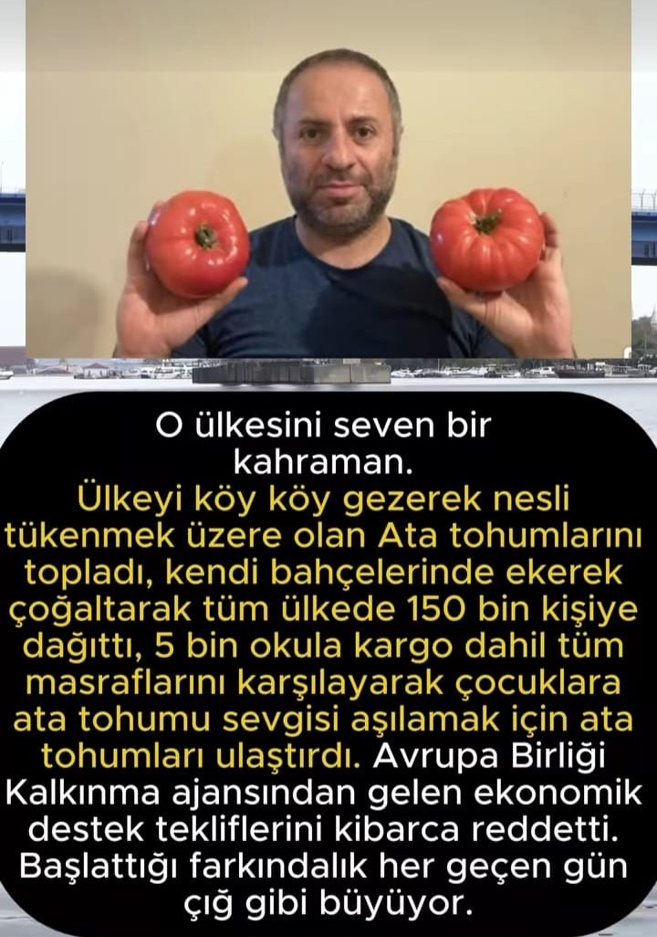 Sultan Ak tweet media