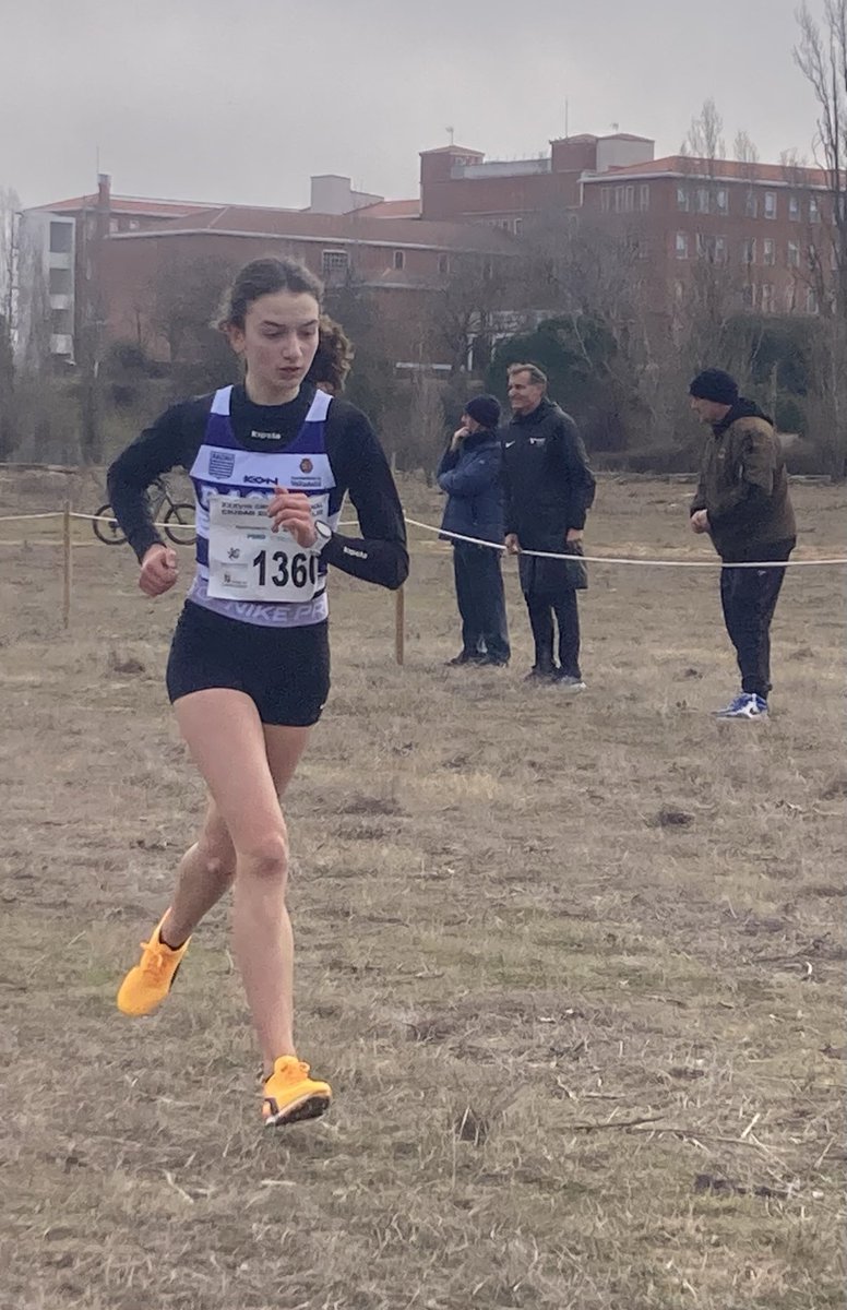 Augustosjh tweet media