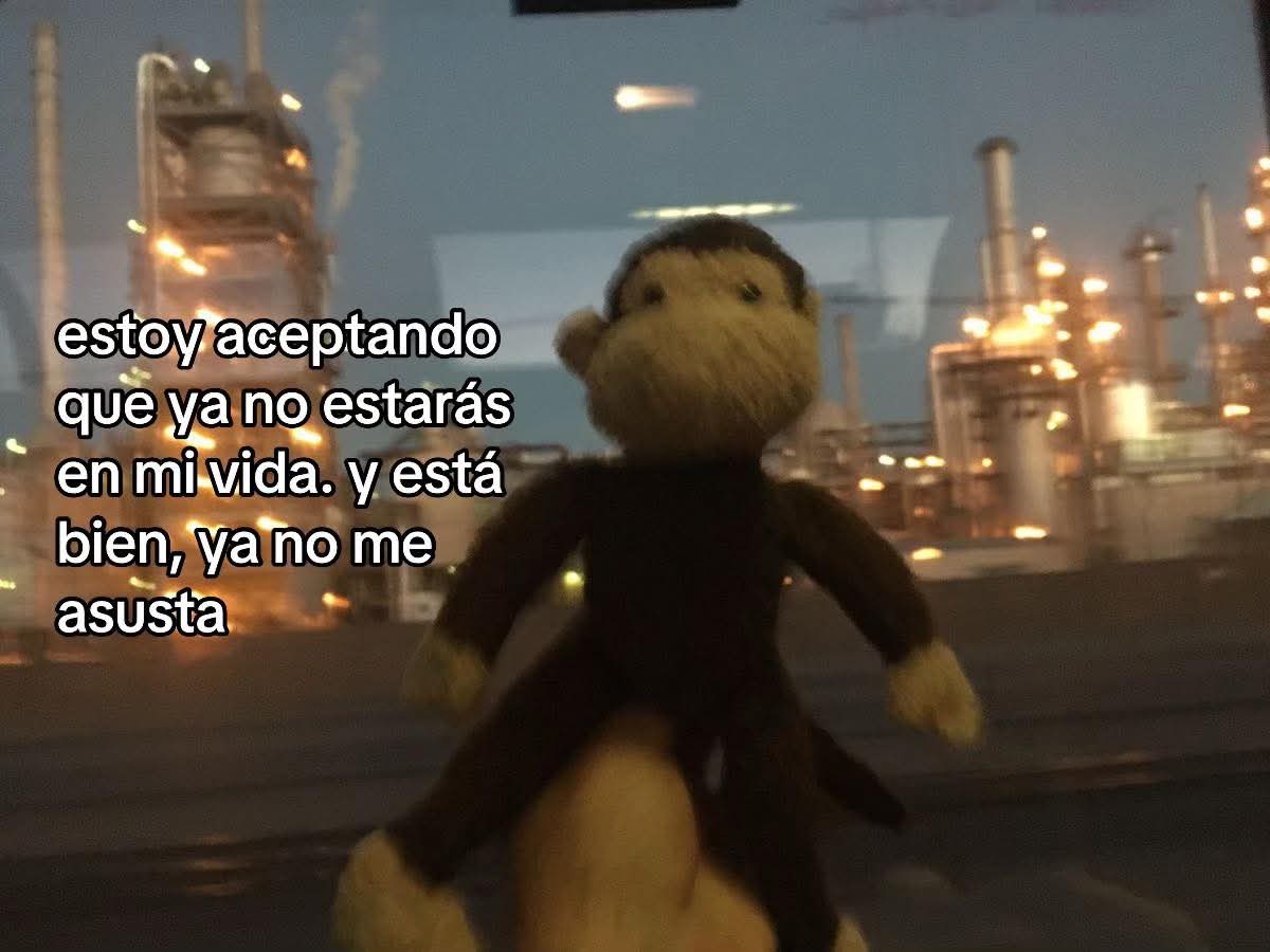 suspirxsalaire's tweet image. 