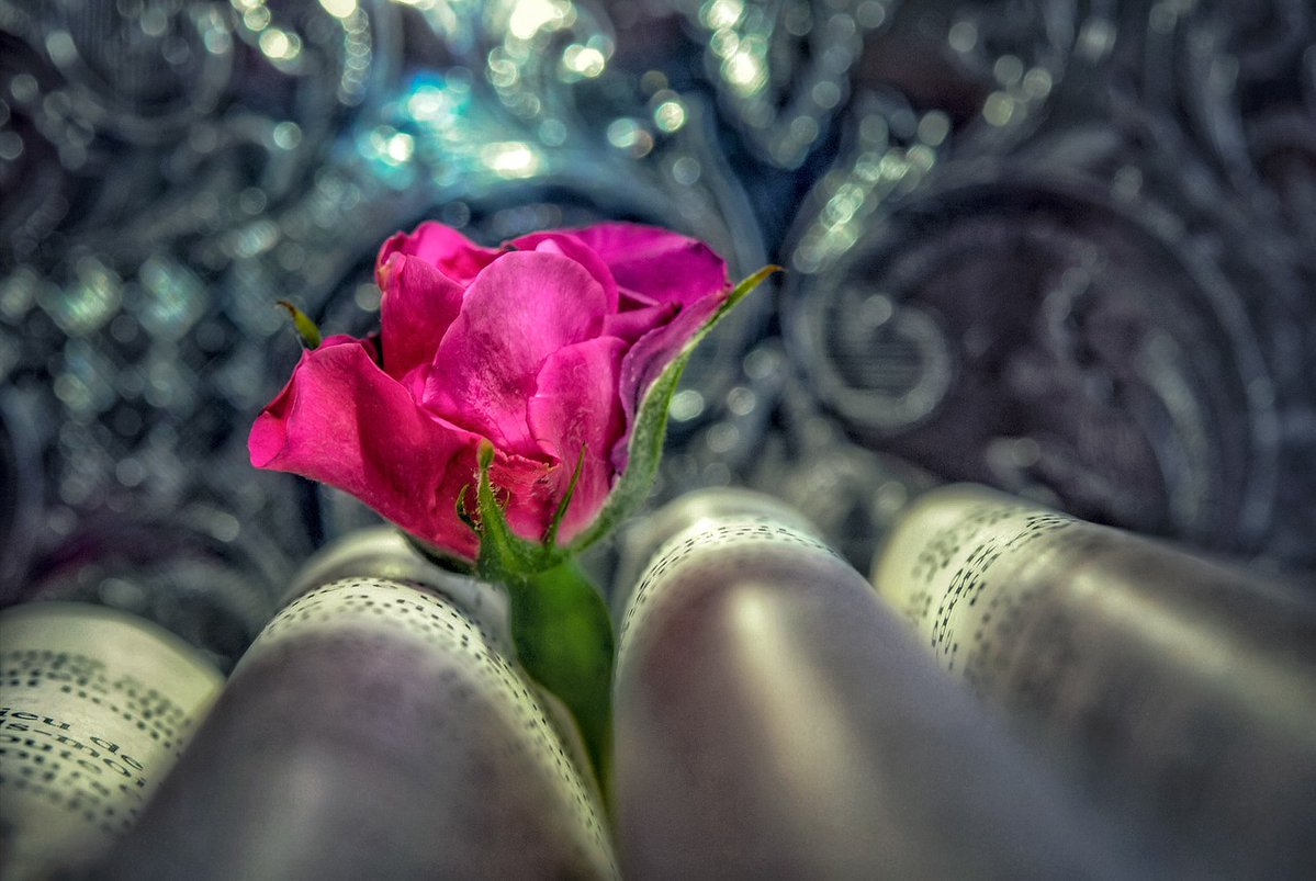 RealityDesignz's tweet image. Đôi khi có hiện tượng phun trào núi lửa đi kèm với động đất, làm tăng thêm sự tàn phá 🌋🌍