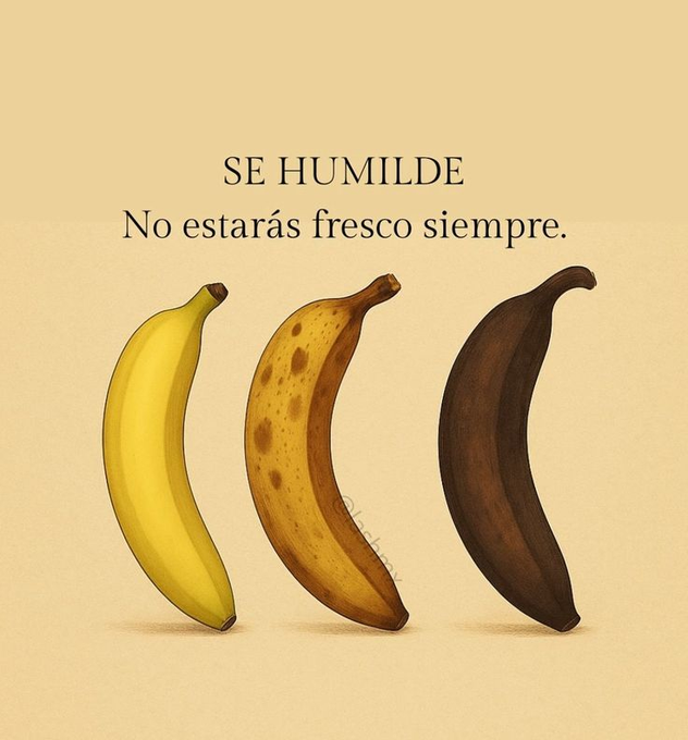 LealtadSabia's tweet photo. https://t.co/spBTpSQHcJ