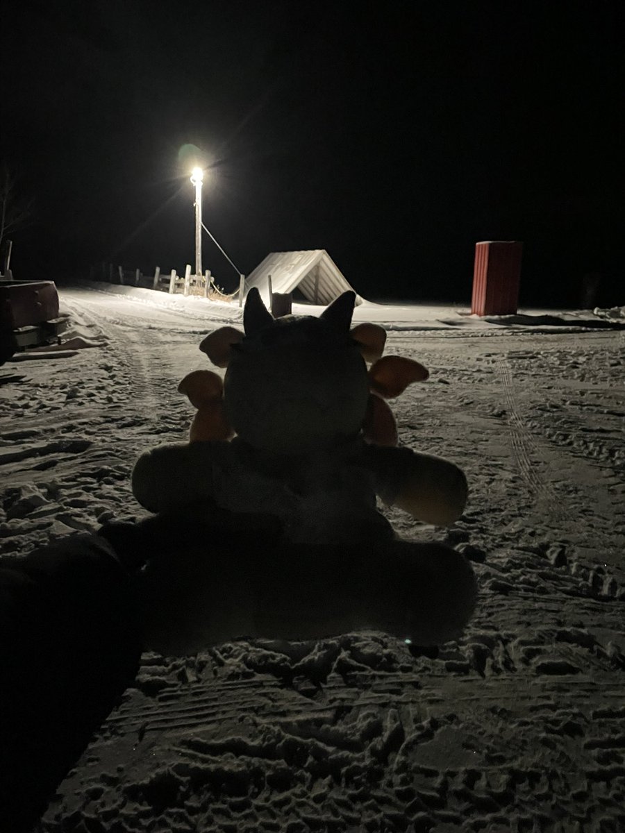 MajerKiller (@vertexfanatic) on Twitter photo 