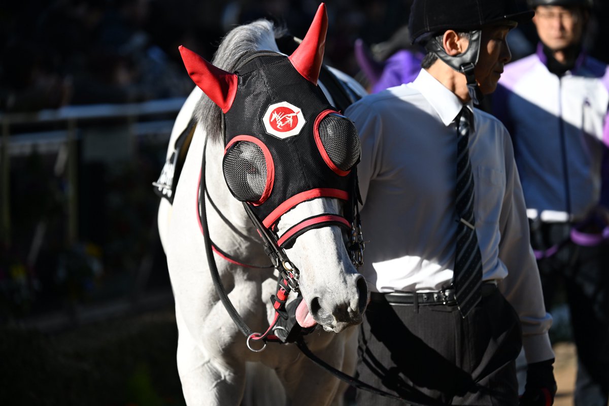もんちゃん もんちゃん＠写真垢 (@mnch_pic) / Posts / X