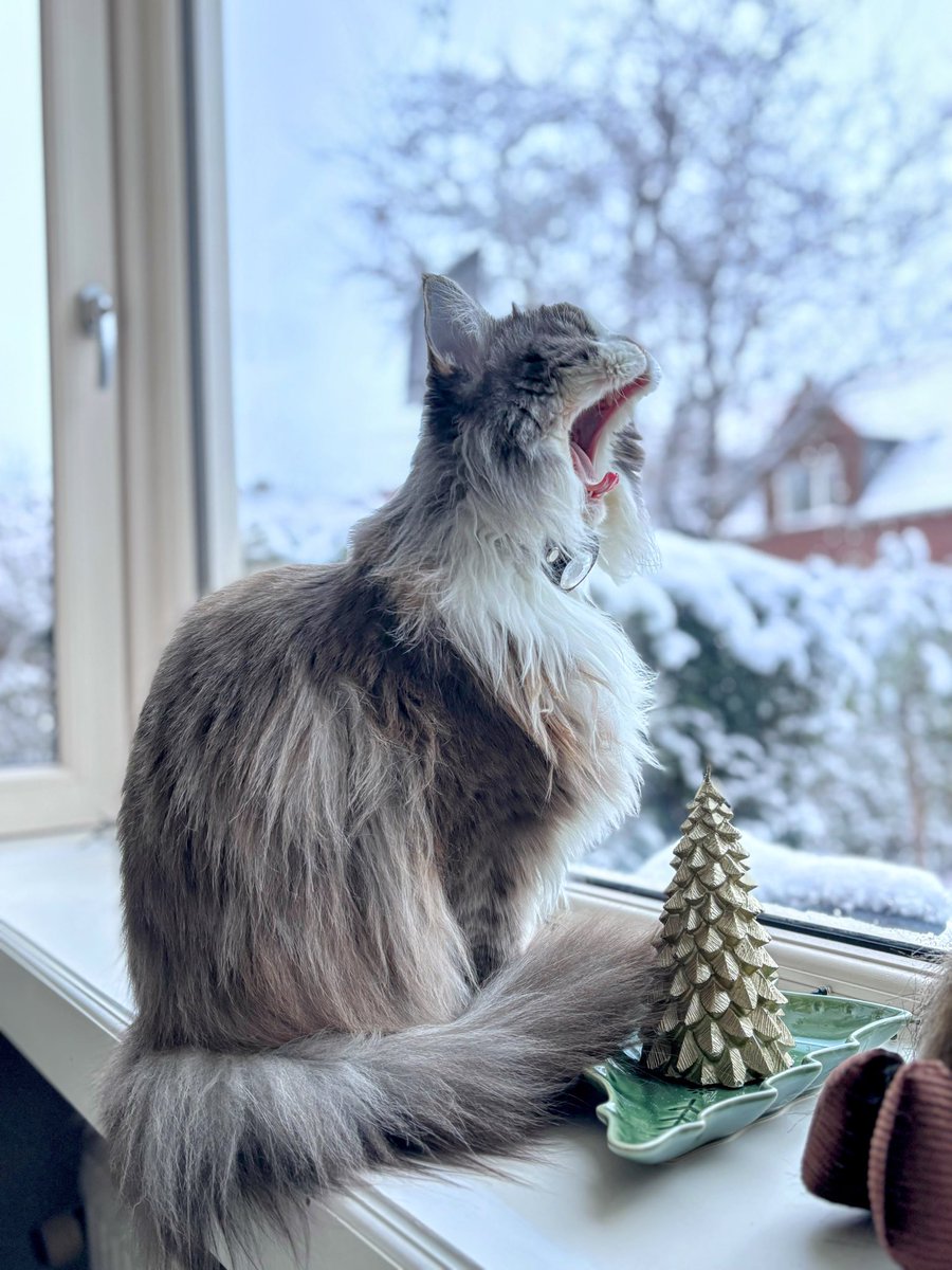 Keykisa22's tweet image. Это Каддлзюшка на прошлой неделе на наступающий понедельник наезжала, для вас старалась!