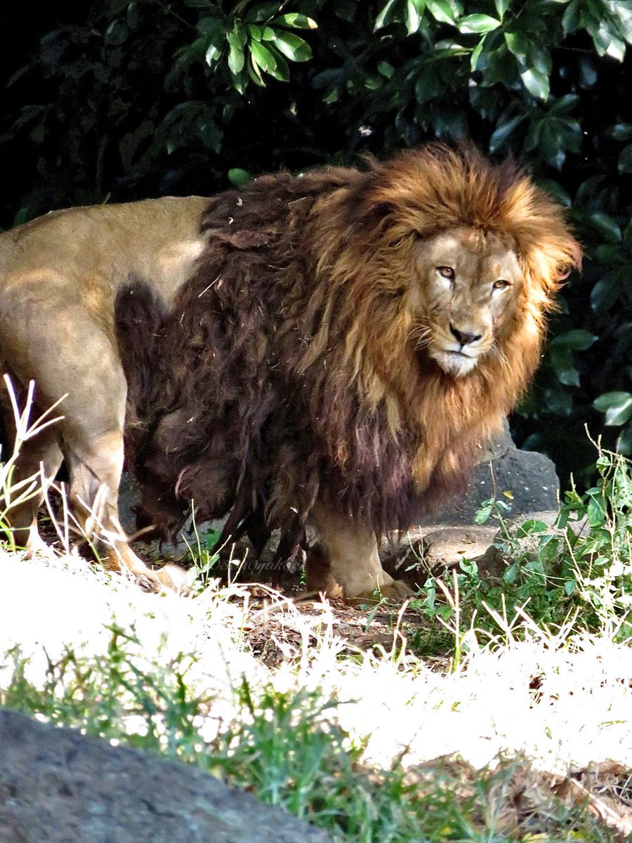 chieページ chie (@chie93730682) / Posts / X