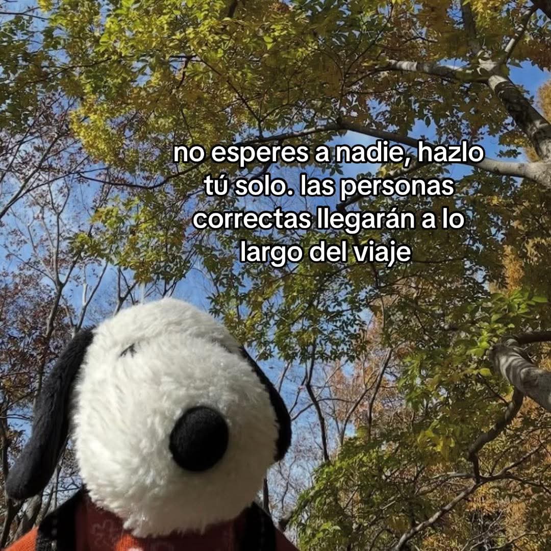 suspirxsalaire's tweet image. 