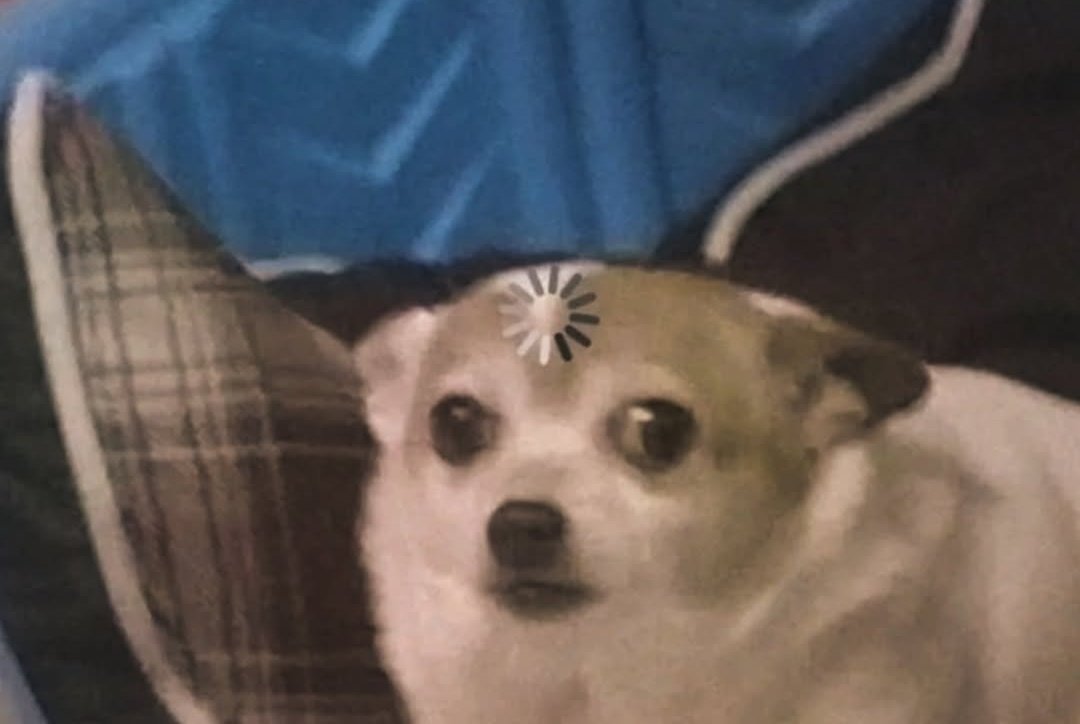 Por qué Clipstudio no respeta los frames cuando la animación se convierte en .gif

Si son 8 frames son 8 frames.

Como te comes 1 o 2 HDP