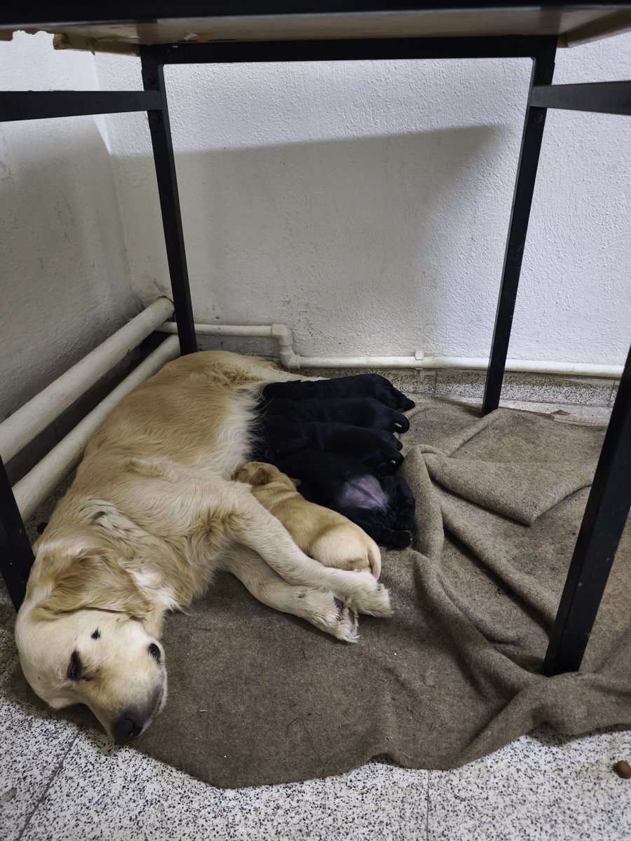 Doğan büyüyor. 🤗