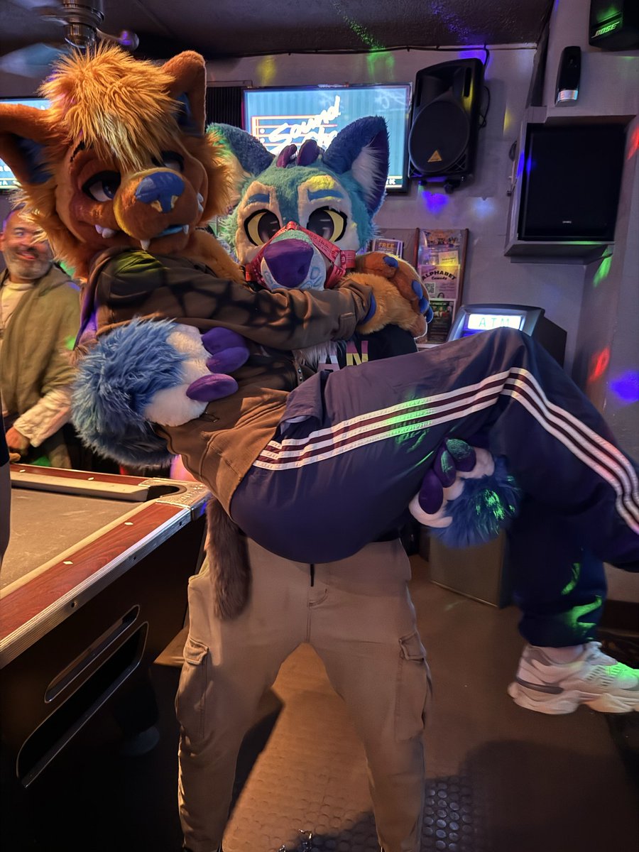 Alex_The_Husky tweet media