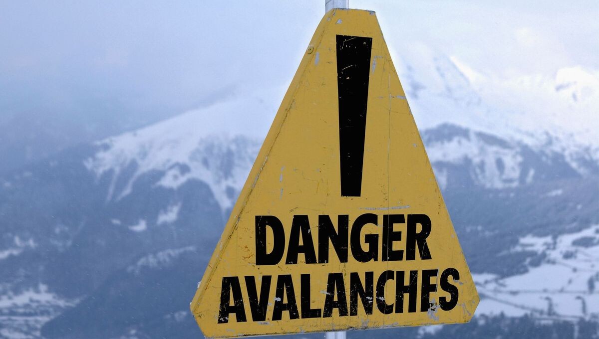 Malgré les alertes, "les skieurs n'ont pas su résister à la poudreuse" regrette Thierry Arnou, expert en avalanche
➡️ l.ici.fr/Fza